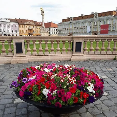 La Masion Paul 3* Timisoara