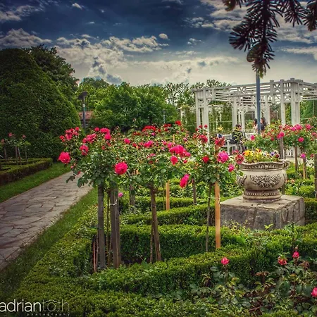 Bed & Breakfast La Masion Paul Timisoara