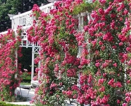 Bed & Breakfast La Masion Paul