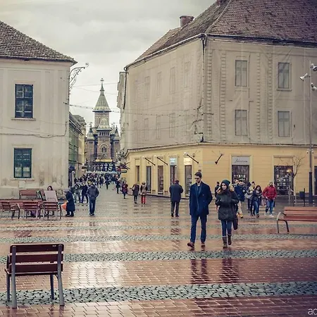La Masion Paul Bed & Breakfast Timisoara