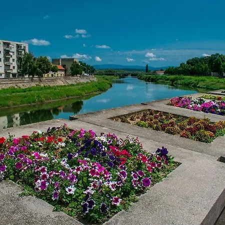Bed & Breakfast La Masion Paul Timisoara